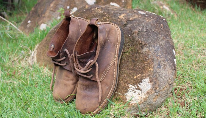 Кинуте щеня жило в черевику, поки його не врятував волонтер - тепер пухнастика не впізнати