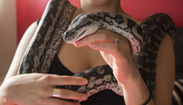 В супермаркете девушка наткнулась на питона и стала укротительницей змей - видео