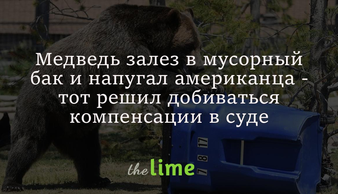 Медведь залез в мусорный бак и напугал американца - тот решил добиваться компенсации в суде