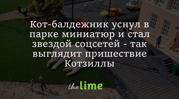 Кіт-балдьожник заснув у парку мініатюр і став зіркою соцмереж - так виглядає пришестя Котзілли