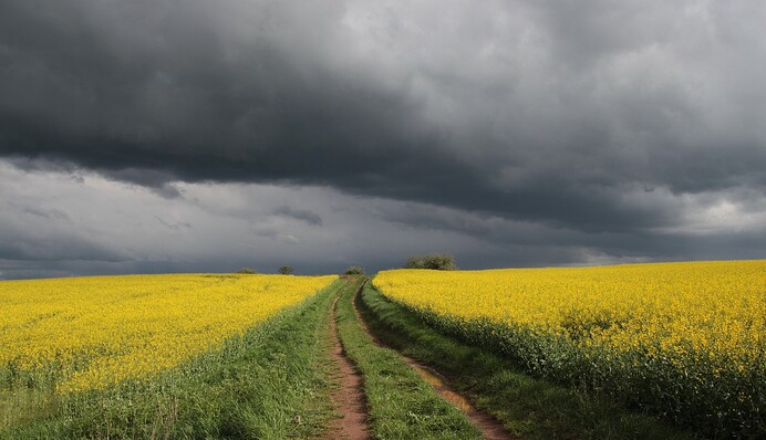 Без великої спеки, але з грозами: якою буде погода в Україні на свята