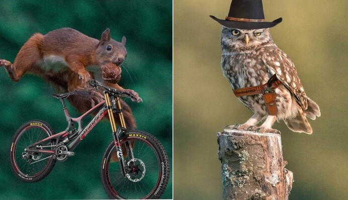 Фотограф попросив відфотошопити свої знімки дикої природи, і такого результату він точно не очікував