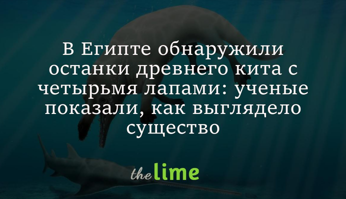 В Египте обнаружили останки древнего кита с четырьмя лапами: ученые показали, как выглядело существо