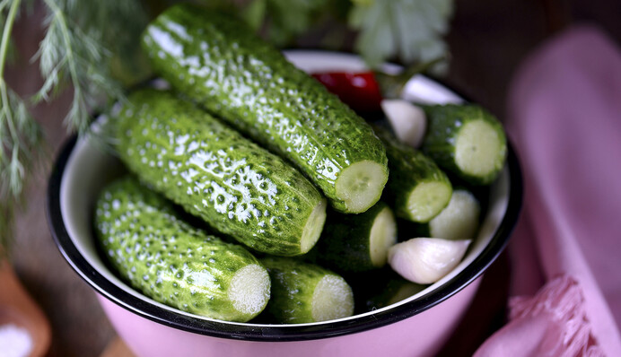 Как приготовить вкусные малосольные огурцы с маслом и не ждать зимы: быстрый рецепт