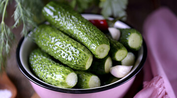 Як приготувати смачні малосольні огірки з олією та не чекати зими: швидкий рецепт