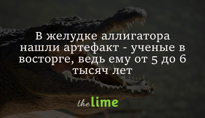 У шлунку алігатора знайшли артефакт - вчені в захваті, адже йому від 5 до 6 тисяч років