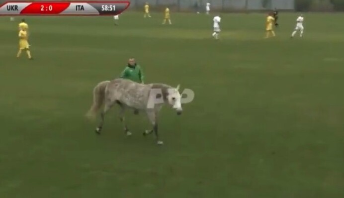 На матч Україна-Італія раптом прийшли два пса та кінь - футболістам довелося зупинити гру і ловити трійку на полі