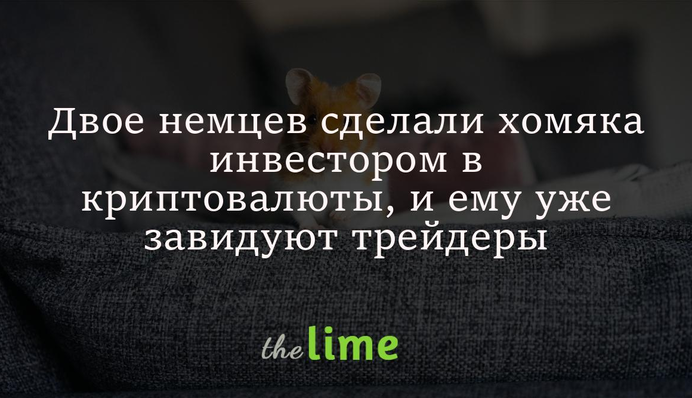 Даже хомяк смог. Двое немцев сделали грызуна инвестором в криптовалюты