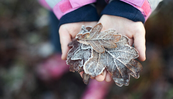 Від нуля до +20: яка погода буде в перші вихідні жовтня