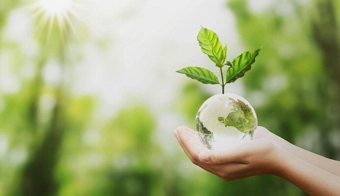 Свідоме споживання: данина моді чи необхідність, продиктована часом