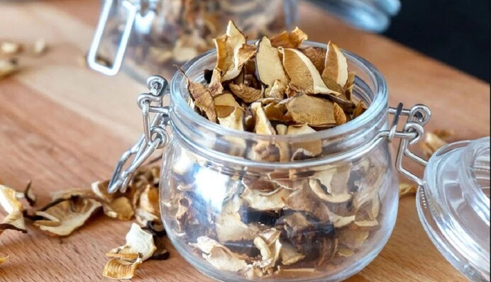 Як сушити і правильно зберігати сушені гриби: збережіть аромат і смак