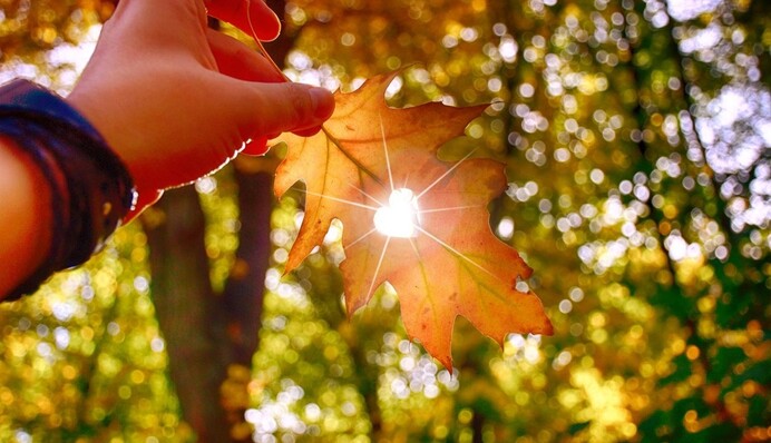 Холодно, теплее, еще теплее: погода в Украине обещает сюрпризы