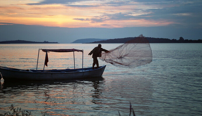 Рибак зловив величезну морську зірку з дев'ятнадцятьма руками