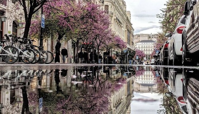 Фотограф подорожує світом і знімає на смартфон відображення міст у калюжах, і кожен його кадр зачаровує