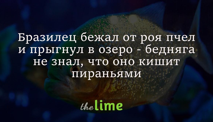 Бразилець втікав від рою бджіл і стрибнув до озера - бідолаха не знав, що воно кишить піраньями