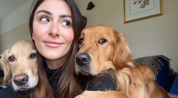 Два золотистих ретривери завадили господині прийняти ванну, і це відео розтопило серця мільйонів