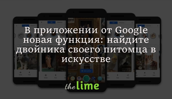 В приложении от Google новая функция: найдите двойника своего питомца в искусстве