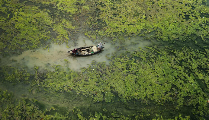 Змушує задуматися. Конкурс фотографії показав, як виглядає зміна клімату