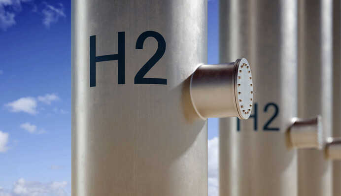 Сонце на експорт: Україна може стати одним з найбільших виробників 