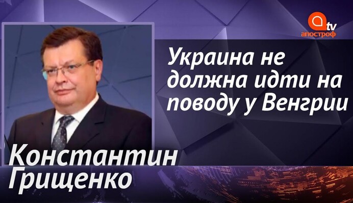 Сейчас бы Венгрию в ЕС никто не взял, это авторитарная страна - Грищенко