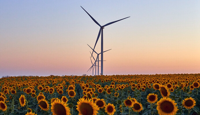 Ковид, тариф, миллиардные долги: что не так с ветровой энергетикой в Украине