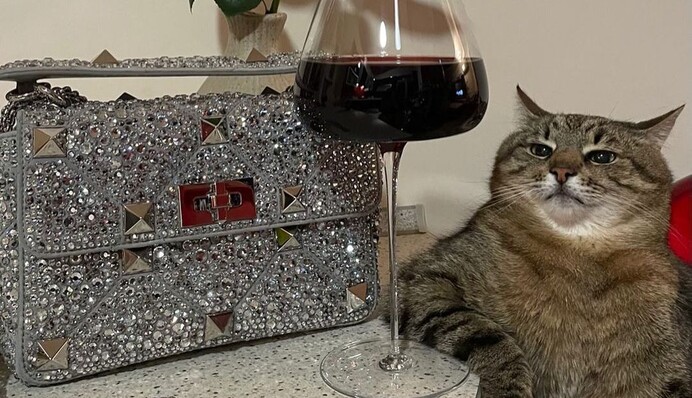 Valentino заказал рекламу у украинского кота Степана, и вот его отношение к брендам