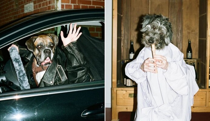 Фотограф снял для календаря собак с человеческими руками, и это самые смешные модели