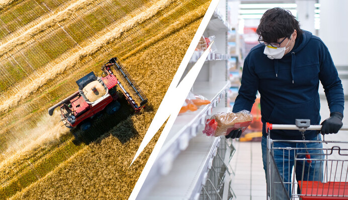 З урожаєм, але без хліба: як бездіяльність Кабміну призвела до дефіциту пшениці