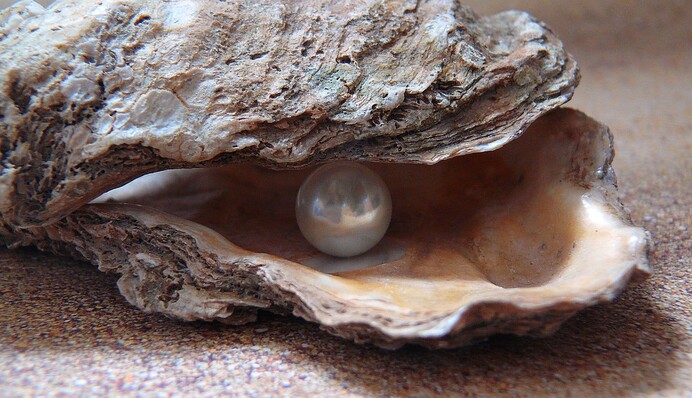 Дівчина замовила у ресторані устрицю та отримала цінний подарунок - усередині було 12 перлин