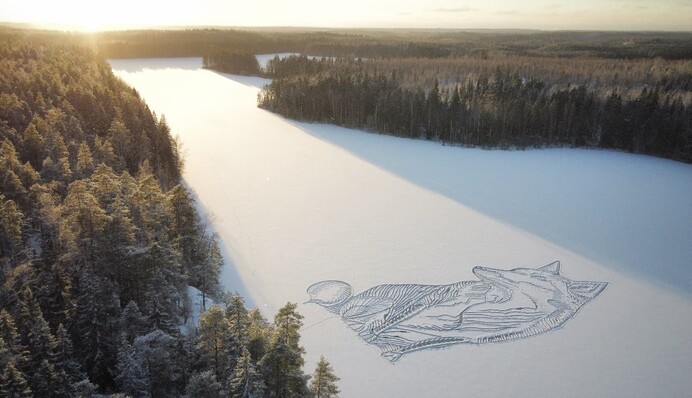 Засніжене озеро у Фінляндії прикрасили величезним малюнком лисиці - фото чудового пейзажу