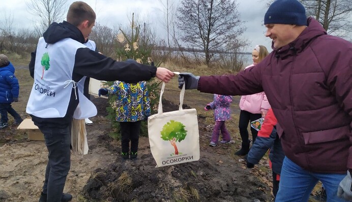 Ялинка, годівнички: як дарничани спільними зусиллями працюють над новим парком на Осокорках
