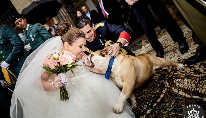 На конкурсе свадебной фотографии выбрали победителей 2021 года - трогательные моменты со всего мира