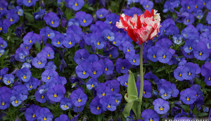 Сделано в 2021: десять самых ярких фотографий 