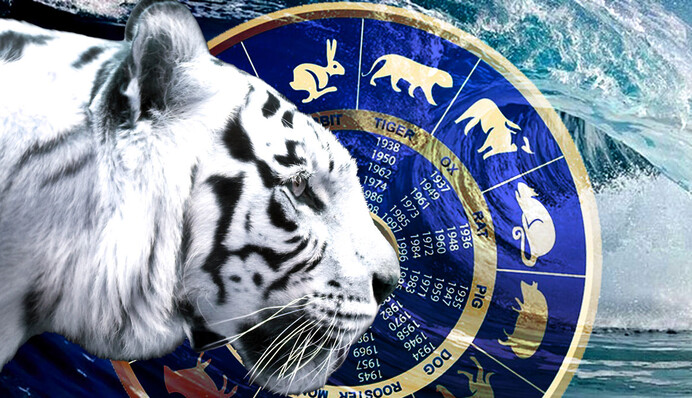 5 мифов о Водяном Тигре, которым не стоит верить - каким вряд ли будет 2022 год