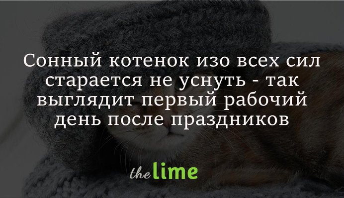 Сонне кошеня щосили намагається не заснути - так виглядає перший робочий день після свят