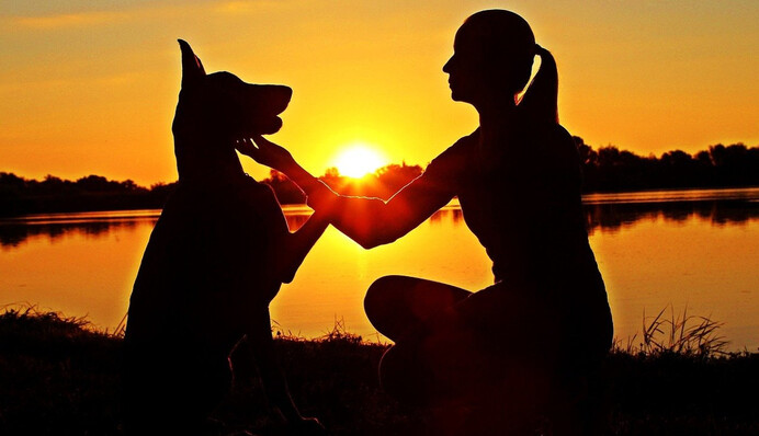 Воспитанный доберман поделился котлетой с хозяйкой - поведение собаки удивило людей