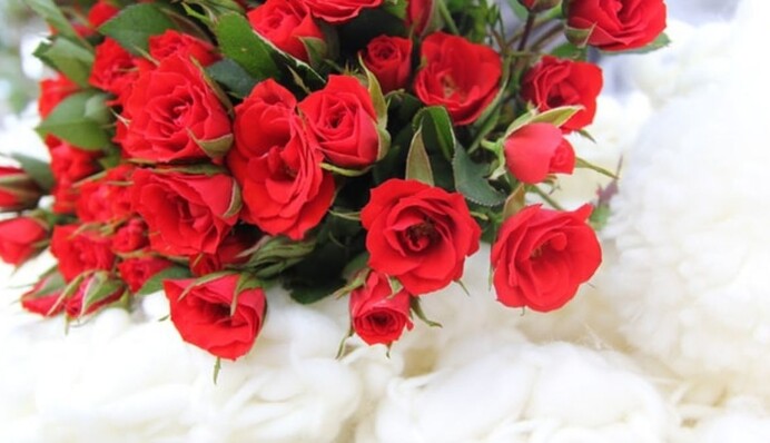 Яких кольорів квітів варто уникнути в букеті на День святого Валентина