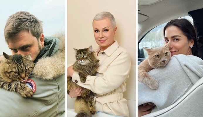 У День кота українські знаменитості розповіли про своїх улюбленців