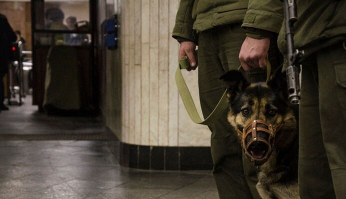 Від цього залежить ваша безпека: правила поведінки у зоні бойових дій