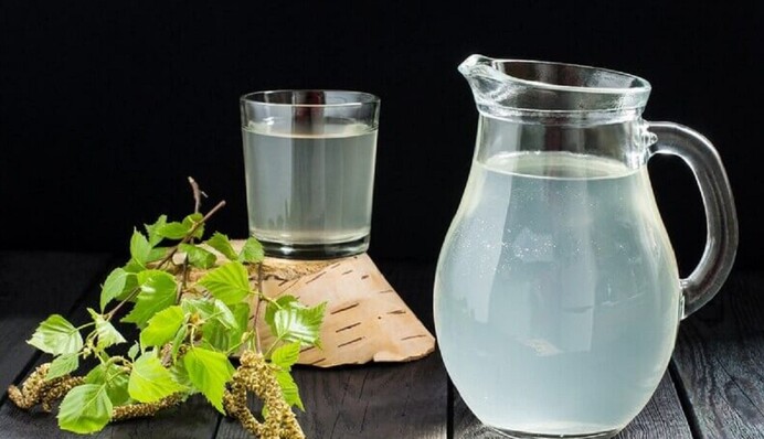 Коли і як збирати березовий сік: корисні поради та підказки