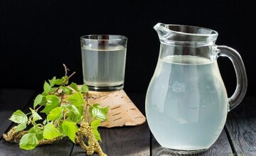 Коли і як збирати березовий сік: корисні поради та підказки