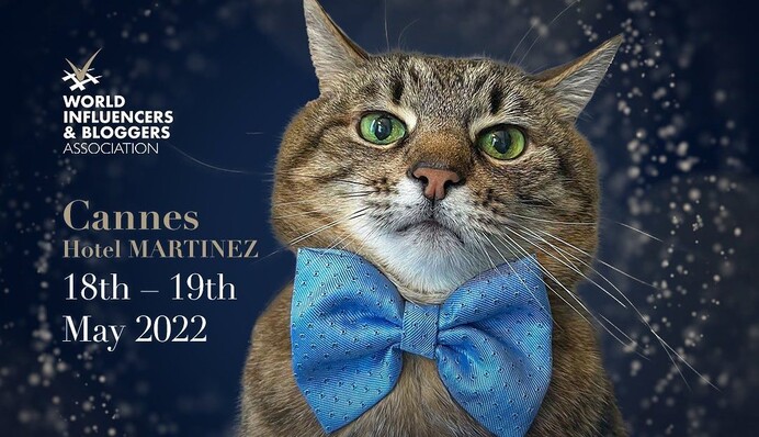 Кот Степан из Харькова номинирован на престижную премию блогеров - собранные средства пойдут Украине