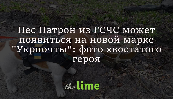 Пес Патрон из ГСЧС может появиться на новой марке 