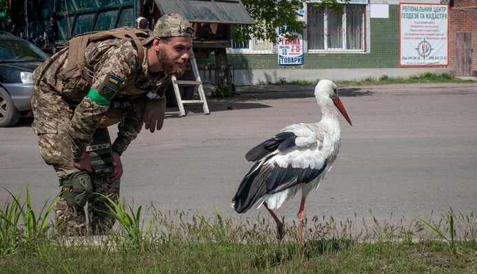 Позывной Байрактар: защитники Украины показали забавную встречу с 