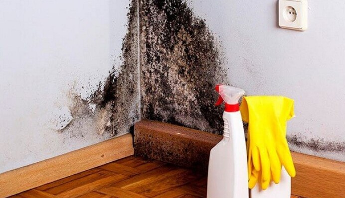 Як прибрати запах вогкості у квартирі: топ-5 простих та доступних способів