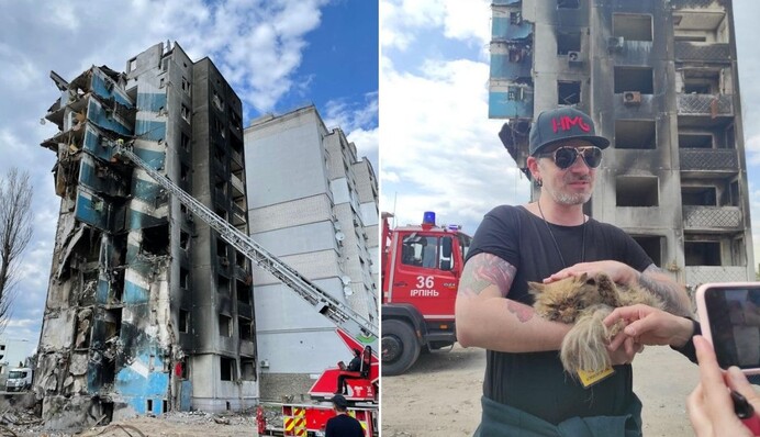 У Бородянці врятували кішку, яка місяць жила на 7 поверсі зруйнованого будинку: фото і відео