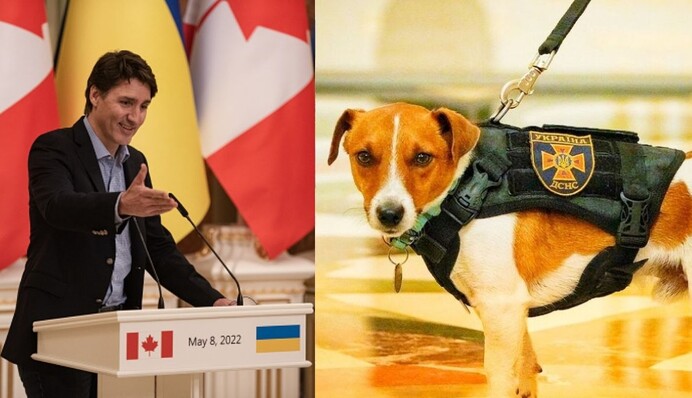 Прем'єр Канади Джастін Трюдо похвалився знайомством із українським псом Патроном: фото