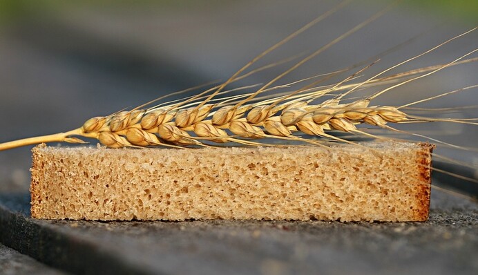 Хлебный бунт: как Россия поставила мир на грань голода