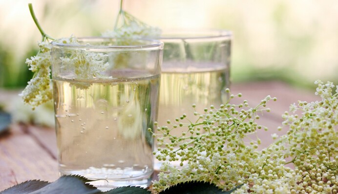 Як приготувати смачний газований квас із бузини: простий рецепт на 10 літрів води