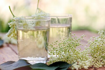 Как приготовить вкусный газированный квас из бузины: простой рецепт на 10 литров воды